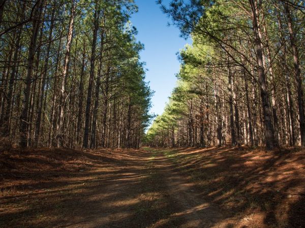 0 Mayfield Divide Rd , Centerville, TN 37033