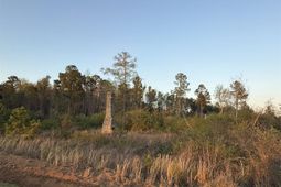 158 Bundrick Road  photo 4