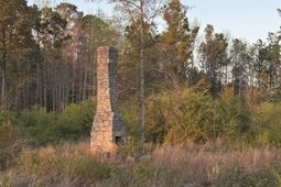 158 Bundrick Road  photo 4