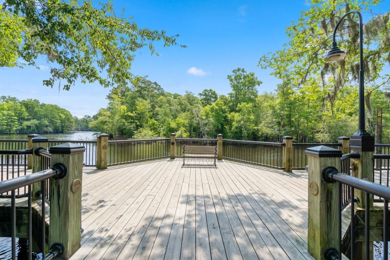 1127 Blueback Herring Way Photo 47