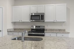 1127 Blueback Herring Way photo 4