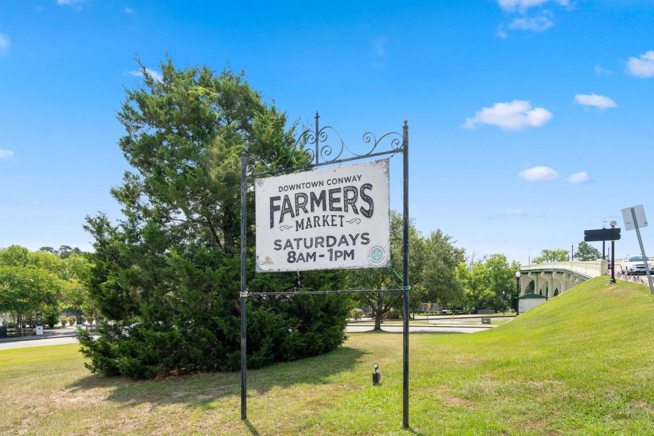 1127 Blueback Herring Way Photo 50