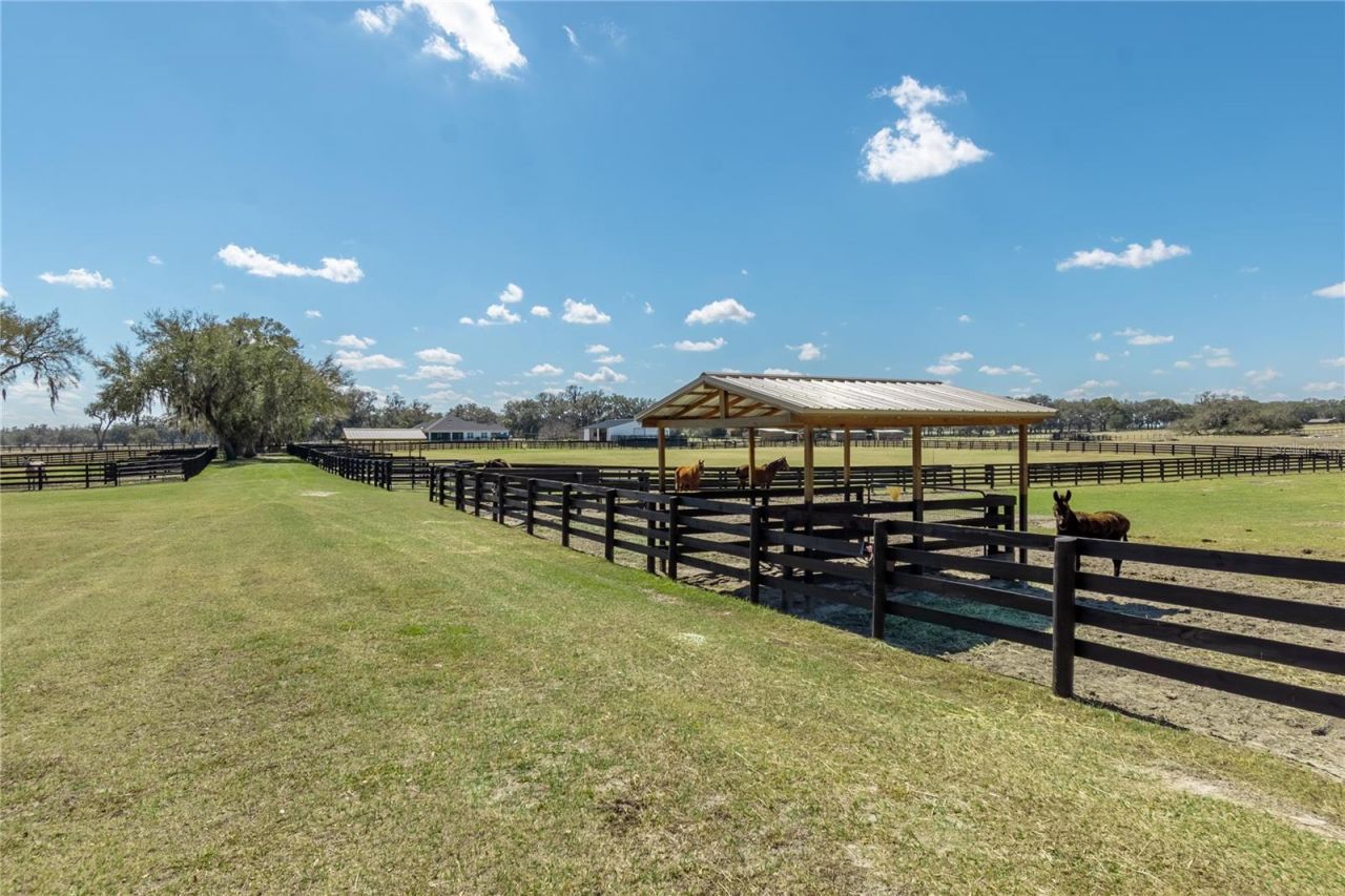 4700 NW 157th Court, Morriston, FL 32668 Photo