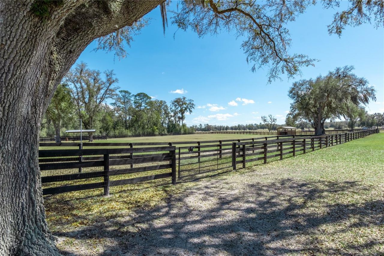 4700 NW 157th Court, Morriston, FL 32668 Photo