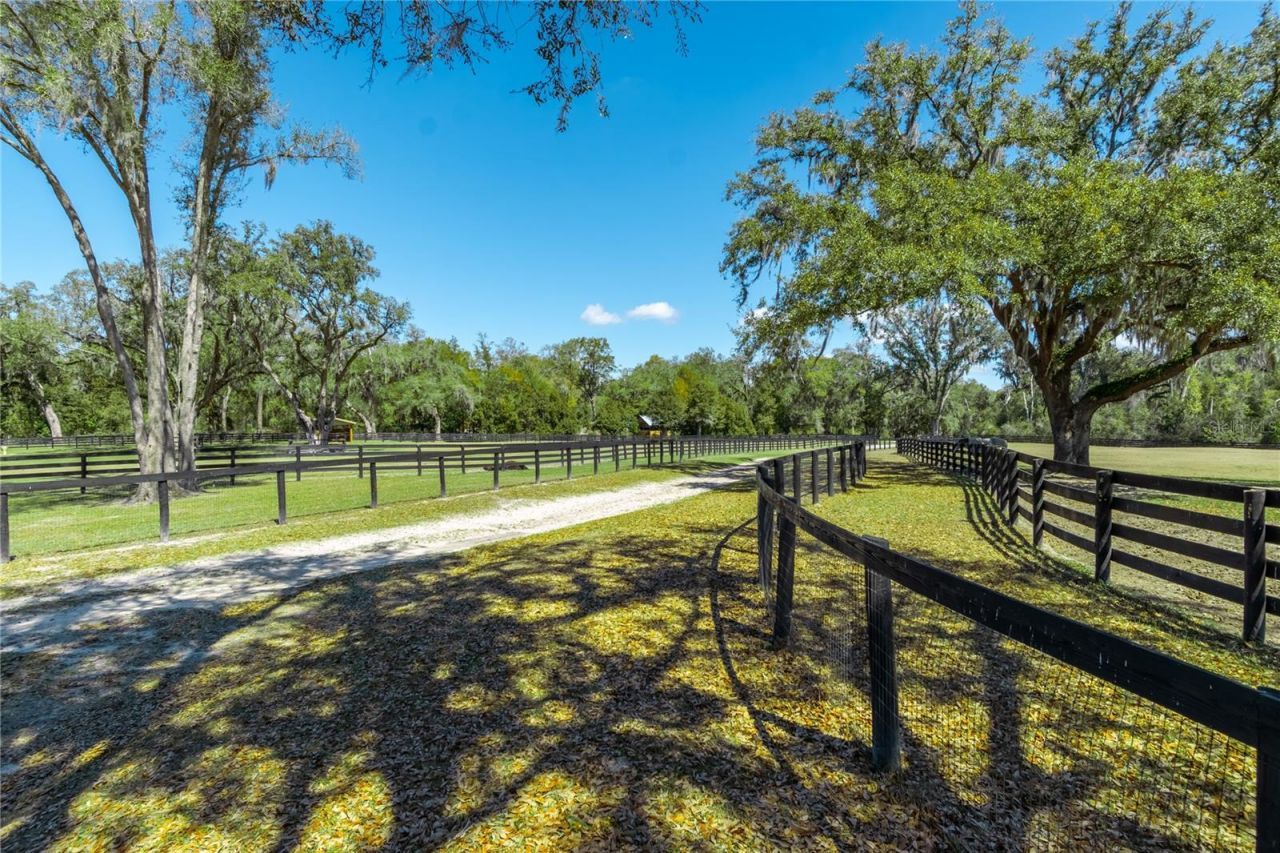 4700 NW 157th Court, Morriston, FL 32668 Photo