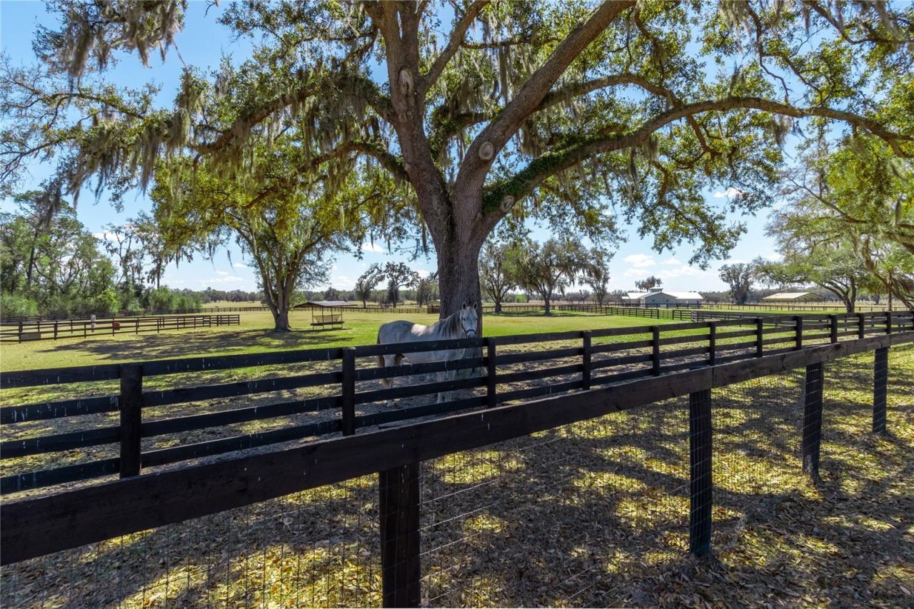 4700 NW 157th Court, Morriston, FL 32668 Photo