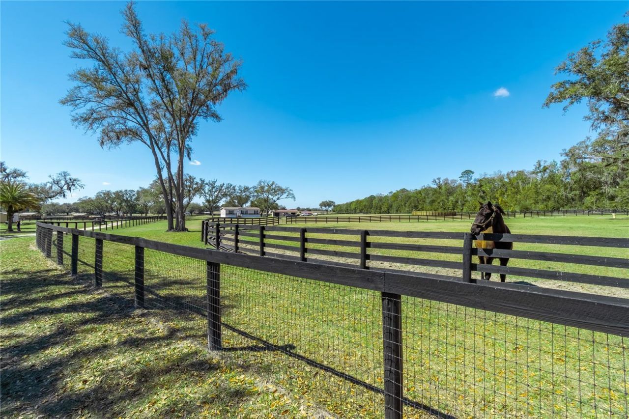 4700 NW 157th Court, Morriston, FL 32668 Photo