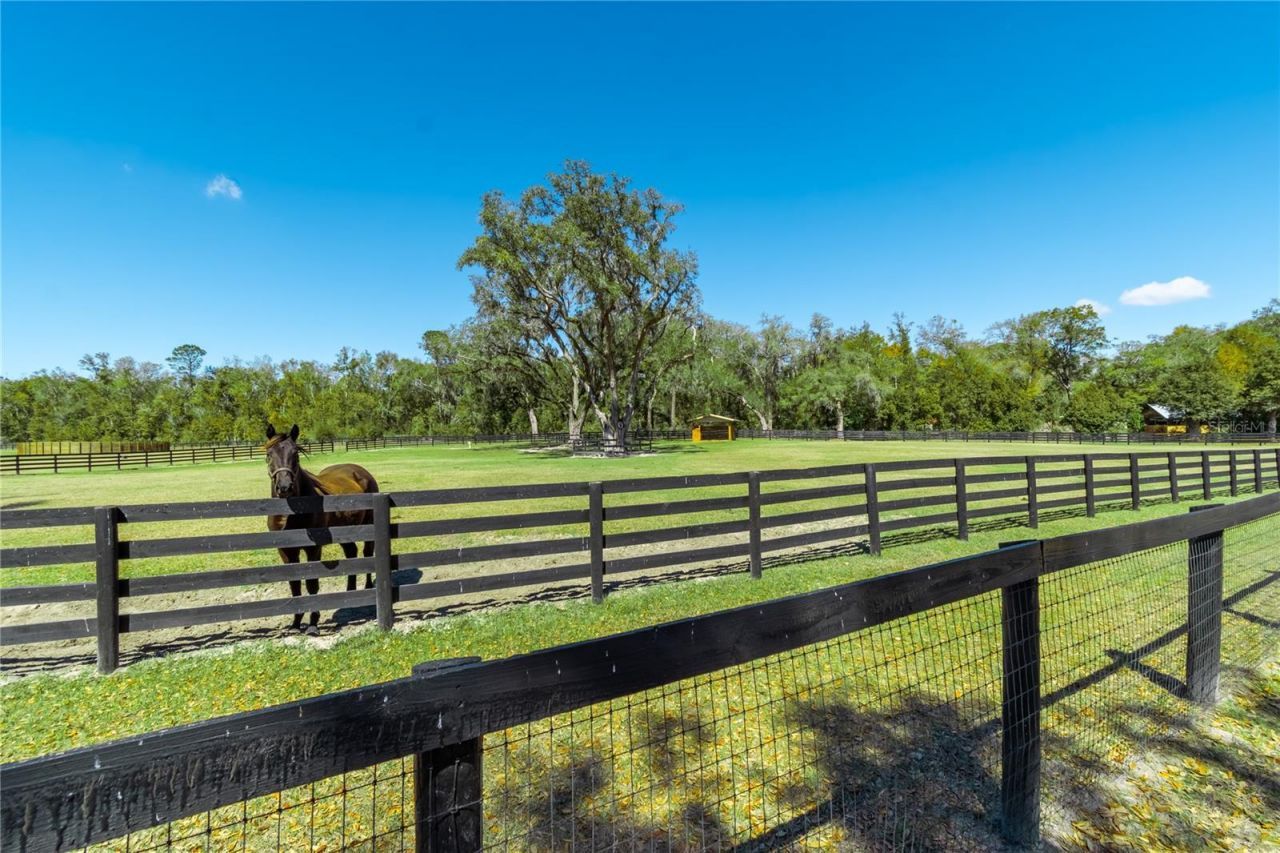 4700 NW 157th Court, Morriston, FL 32668 Photo