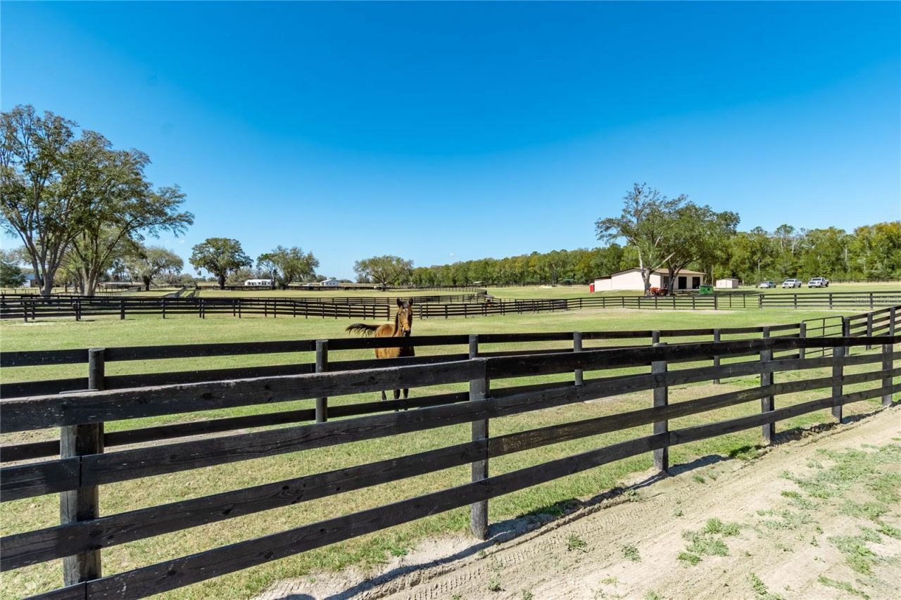 4700 NW 157th Court, Morriston, FL 32668 Photo