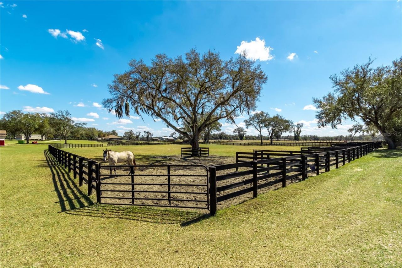 4700 NW 157th Court, Morriston, FL 32668 Photo