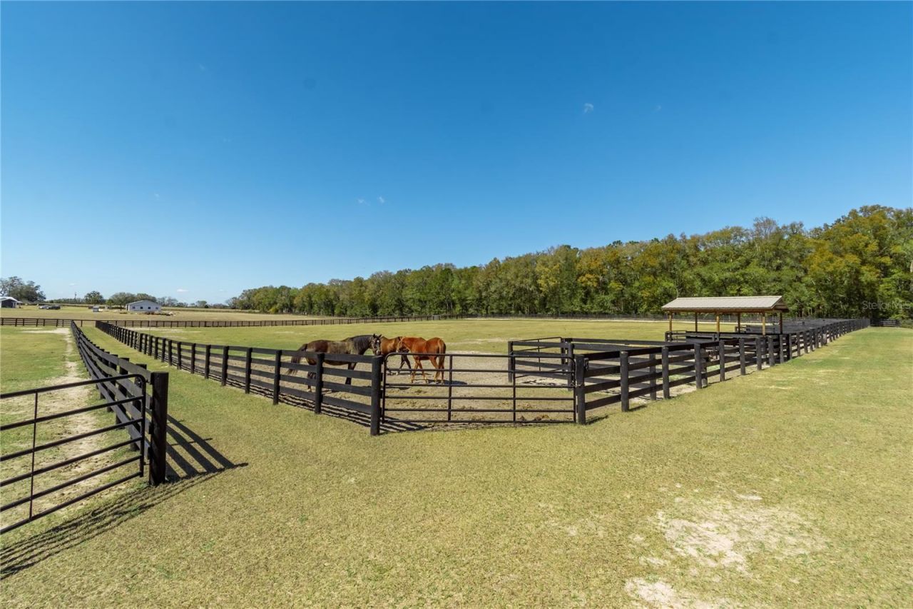 4700 NW 157th Court, Morriston, FL 32668 Photo