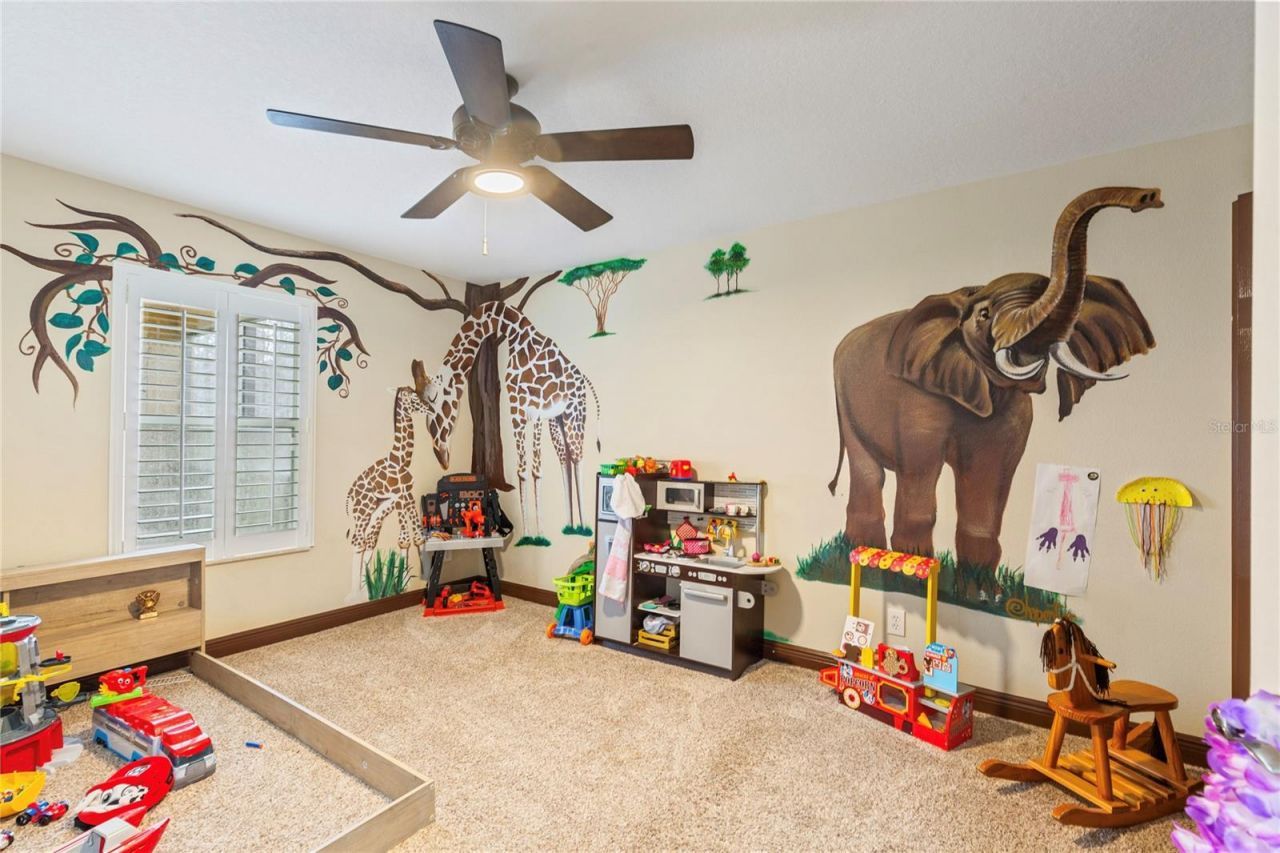 3726 Duke Firth Street , Land O Lakes, FL 34638 Photo