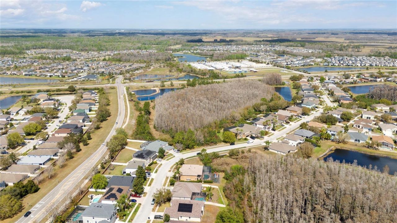 3726 Duke Firth Street , Land O Lakes, FL 34638 Photo