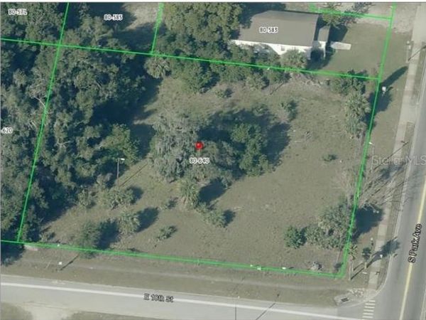 950 S PARK AVENUE , APOPKA, FL 32703