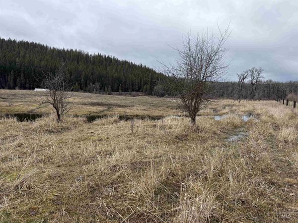 TBD Bare Land Parcel 2, Clarkia, ID 83812
