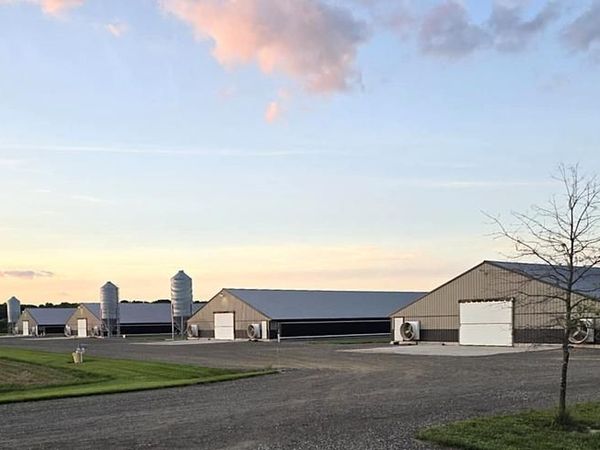 8019 PATTEN ROAD, DENTON, MD 21629