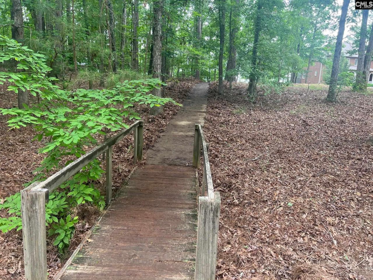 0 Saluda Bluff Rd  Photo 4