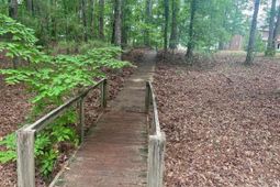 0 Saluda Bluff Rd  photo 4