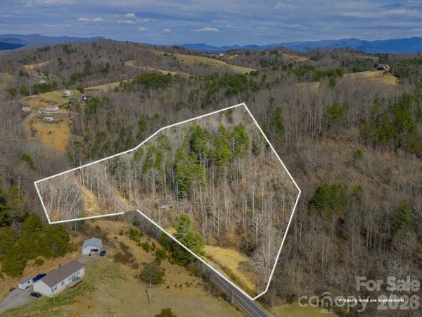 99999 Baileys Branch Road , Marshall, NC 28753