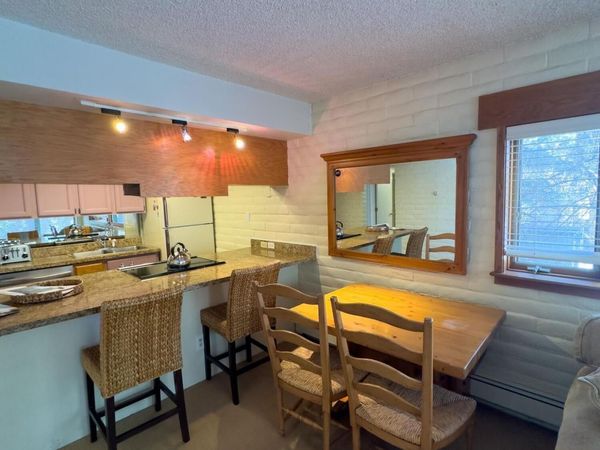 212 Vine Street, Unit 212, Aspen, CO 81611