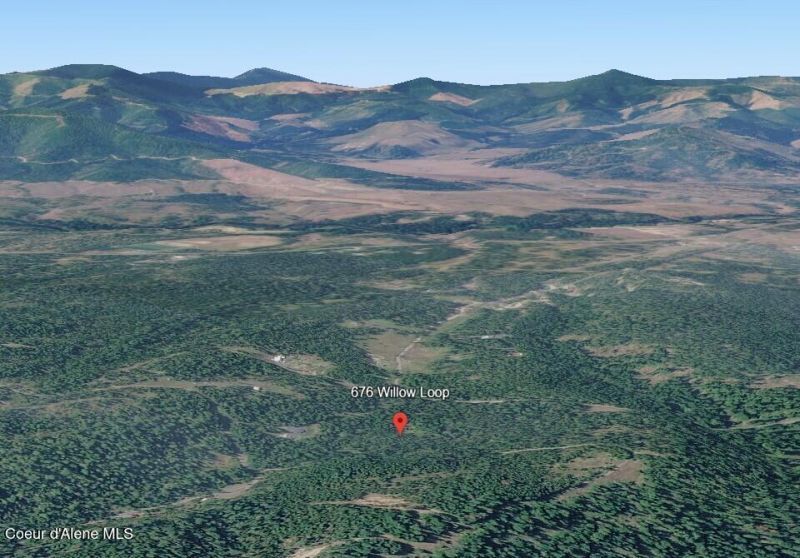 676 Willow Loop, Fernwood, ID 83830 Main Photo