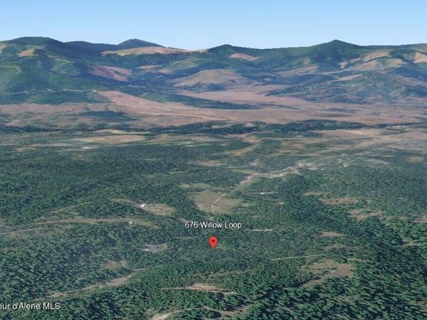 676 Willow Loop, Fernwood, ID 83830