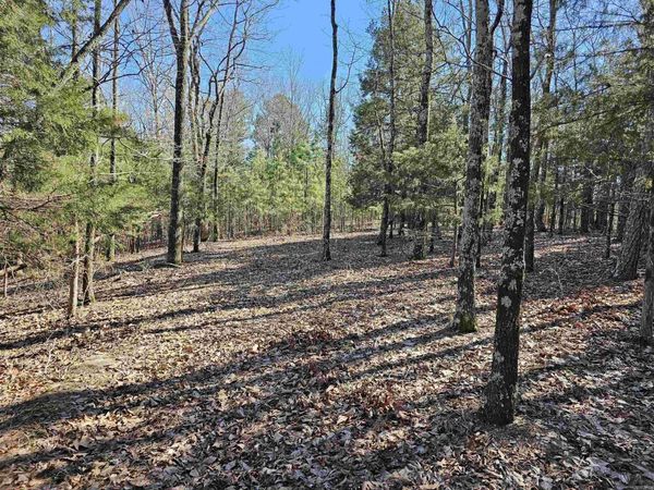 599 Rocking T Road, Heber Springs, AR 72543