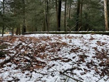 166 LAKESIDE LANE, ALBRIGHTSVILLE, PA 18210