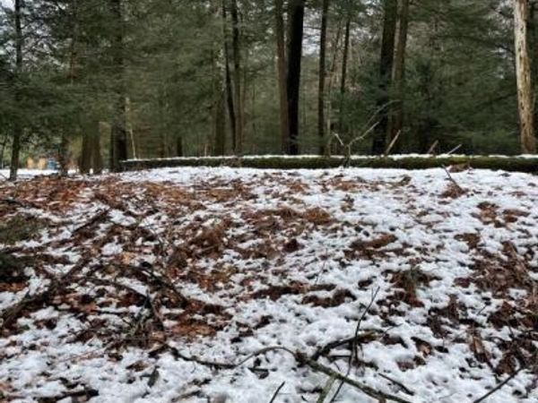 166 LAKESIDE LANE, ALBRIGHTSVILLE, PA 18210