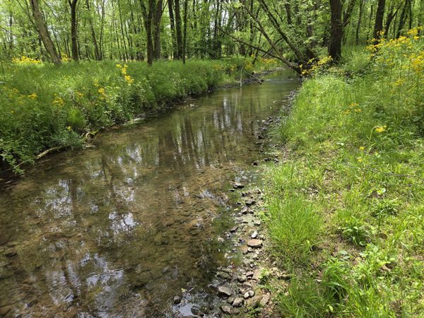 0 Golden Hollow Rd, Kelso, TN 37348