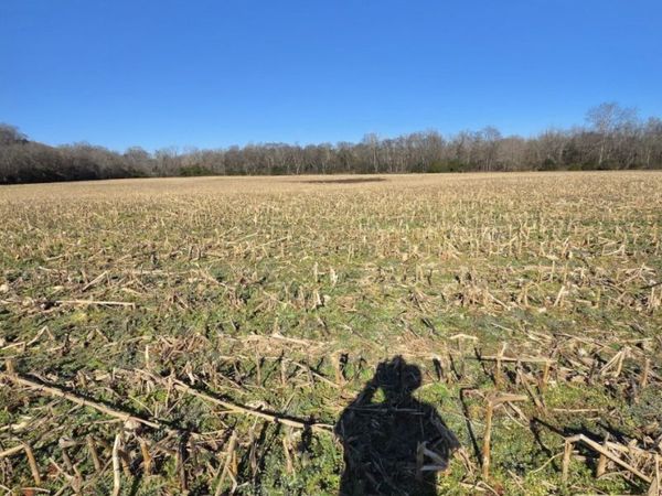 0 Golden Hollow Rd , Kelso, TN 37348