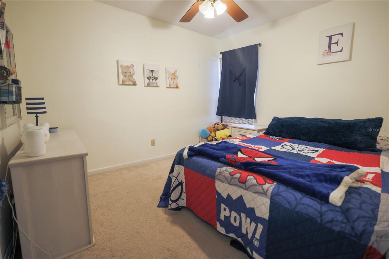 2506 Bordeaux Way, Lutz, FL 33559 Photo