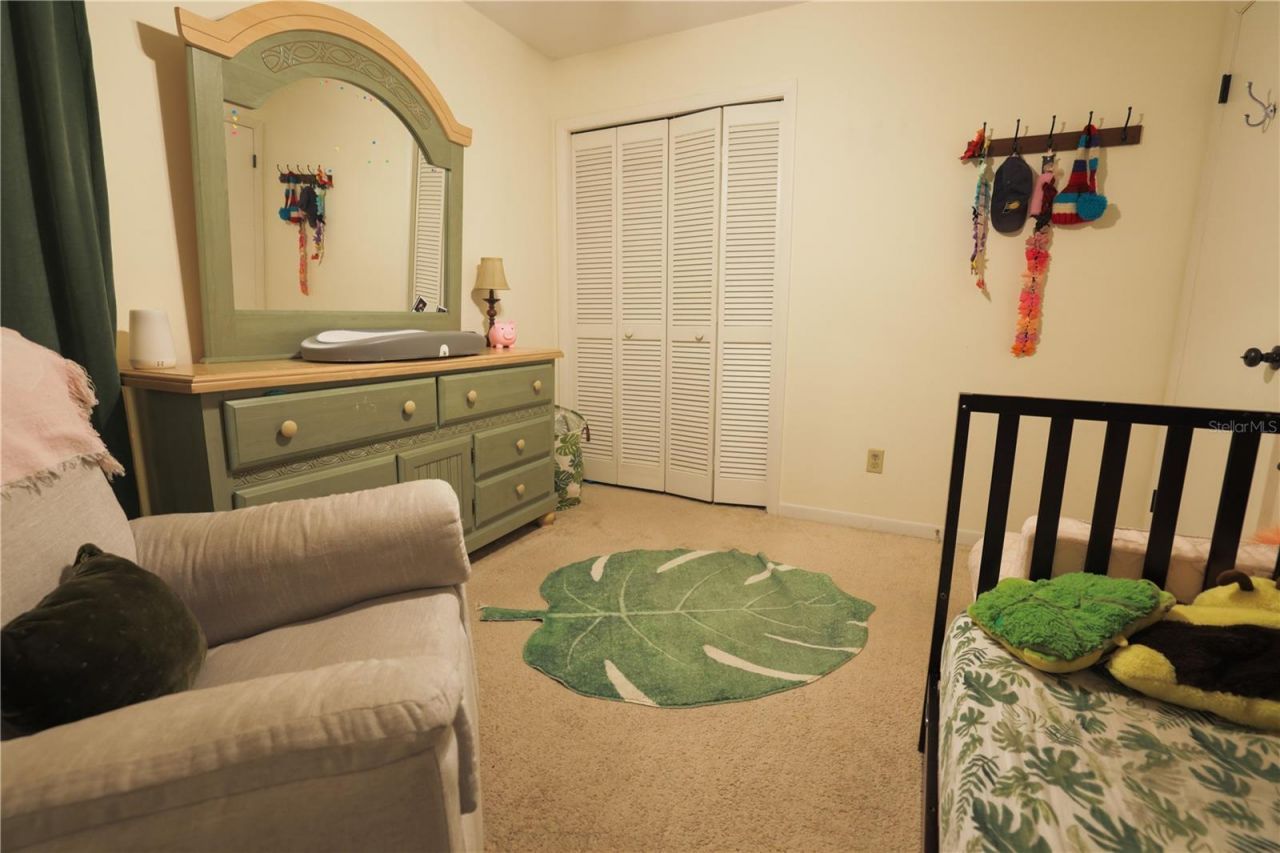 2506 Bordeaux Way, Lutz, FL 33559 Photo