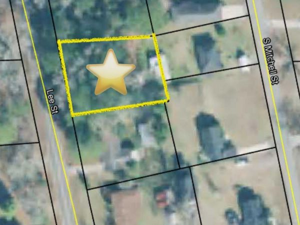Lee Street Lot 2, Hawkinsville, GA 31036