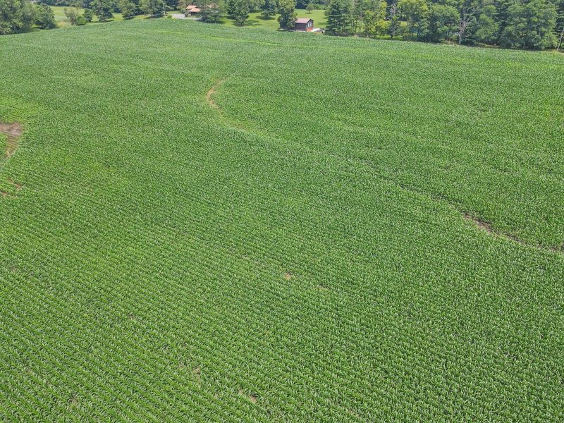 7945 Blacks Road SW, Pataskala, OH 43062 Photo 13