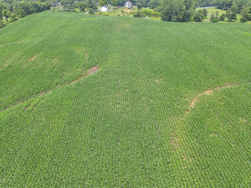 7945 Blacks Road SW, Pataskala, OH 43062 Photo 14