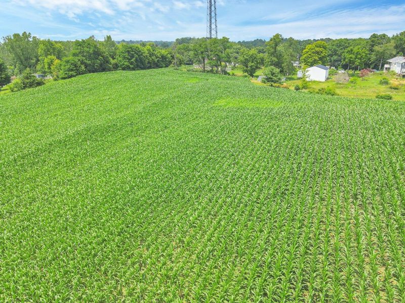 7945 Blacks Road SW, Pataskala, OH 43062 Photo 16