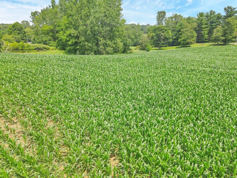 7945 Blacks Road SW, Pataskala, OH 43062 Photo 17