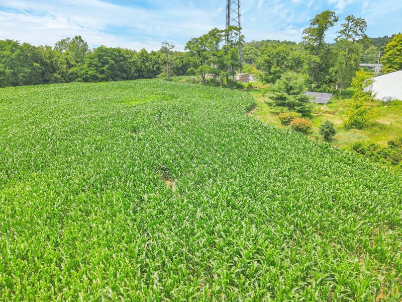 7945 Blacks Road SW, Pataskala, OH 43062 Photo 18