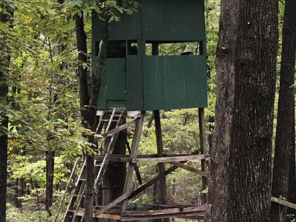 Lot 51-52 Buck Ridge Lane , Williford, AR 72482