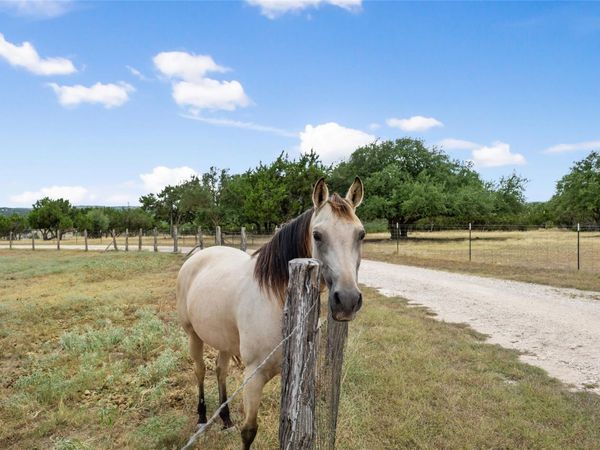 2400 W Fitzhugh RD , Dripping Springs, TX 78620