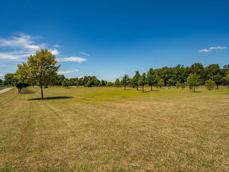 3135 Hornbeam Road, Sabina, OH 45169 Photo 84