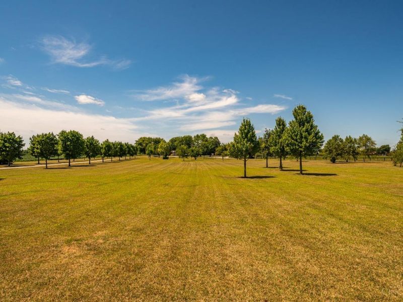 3135 Hornbeam Road, Sabina, OH 45169 Photo 85