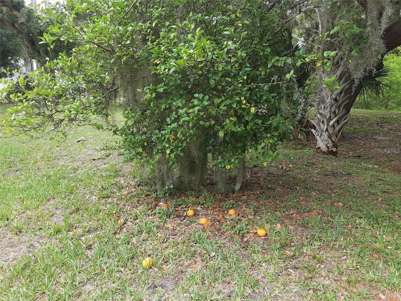 5619 Colonial Oaks Boulevard, Sarasota, FL 34232 Photo