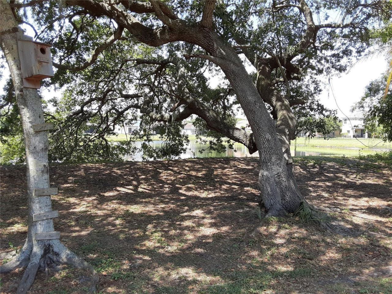 5619 Colonial Oaks Boulevard, Sarasota, FL 34232 Photo