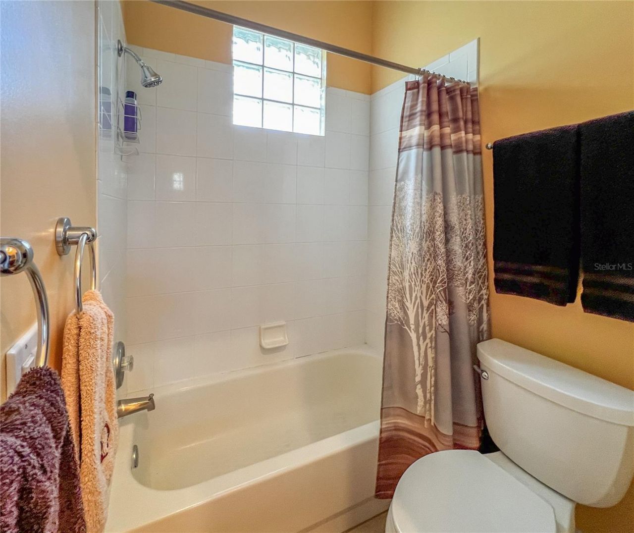 8422 Shenandoah Run, Wesley Chapel, FL 33544 Photo