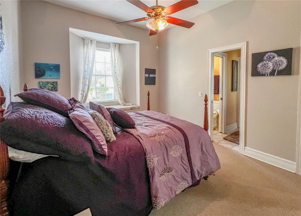 8422 Shenandoah Run, Wesley Chapel, FL 33544 Photo