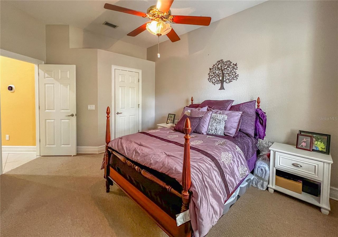 8422 Shenandoah Run, Wesley Chapel, FL 33544 Photo