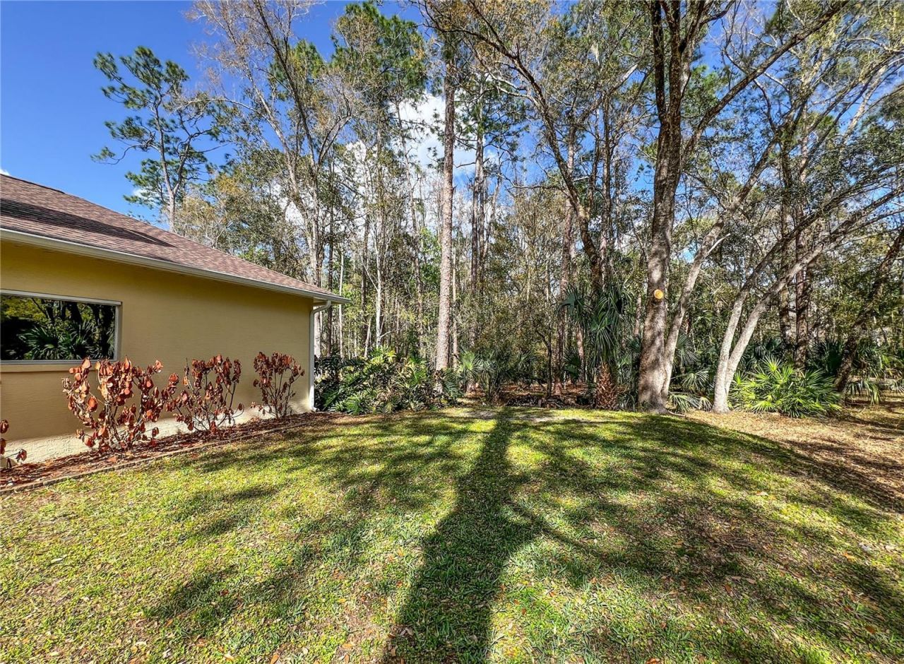 8422 Shenandoah Run, Wesley Chapel, FL 33544 Photo