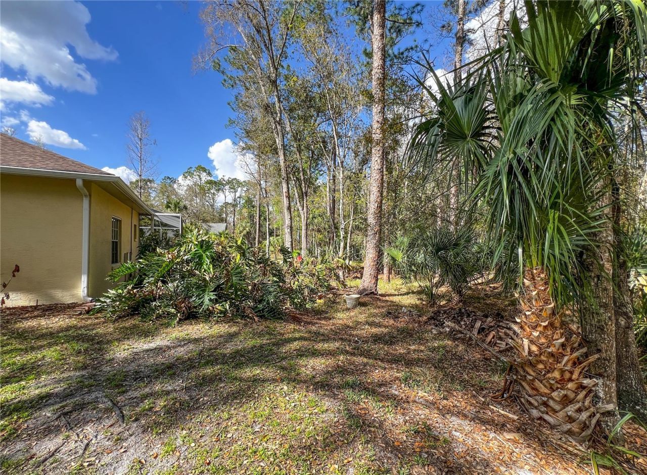 8422 Shenandoah Run, Wesley Chapel, FL 33544 Photo